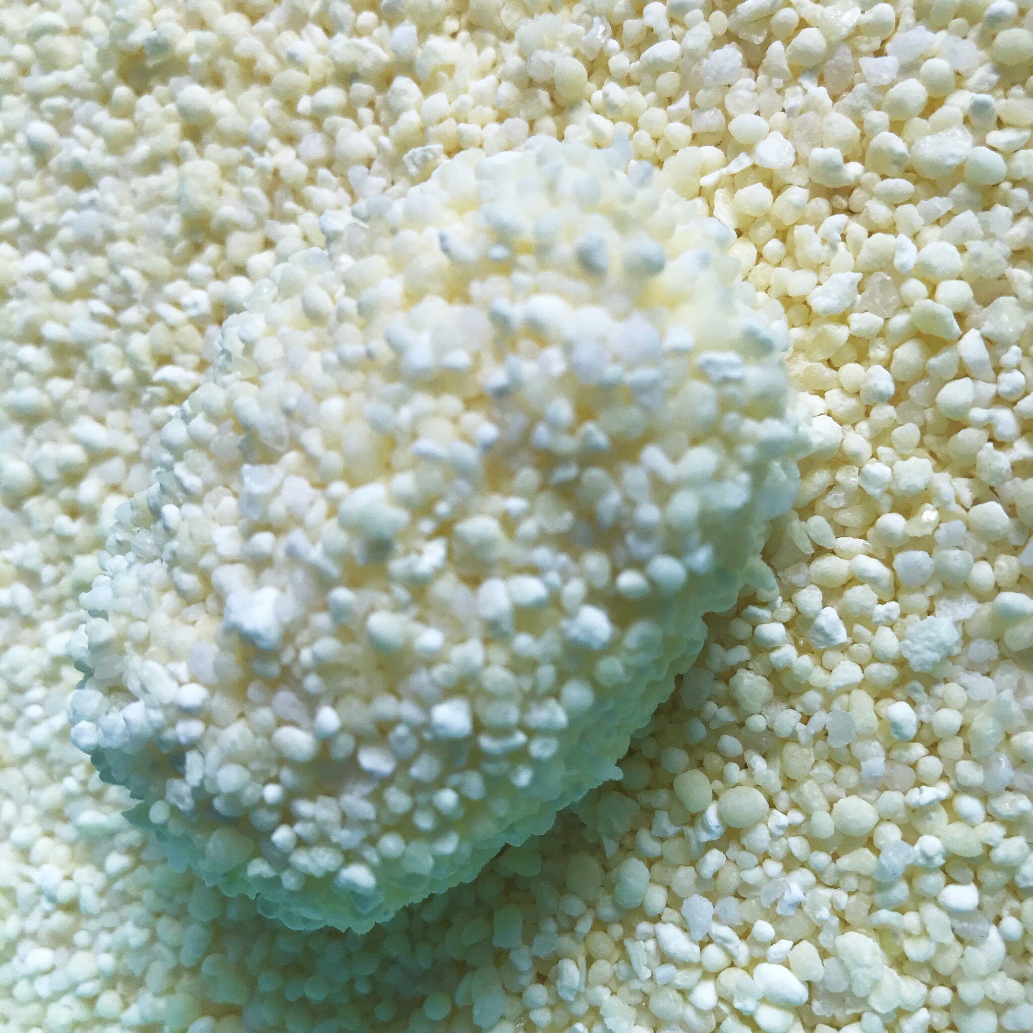 Why choose cassava cat litter? China's Best Cat Litter