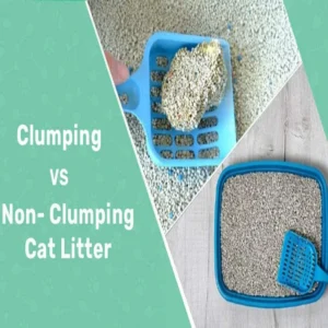 Cat Litter Clumping vs Non