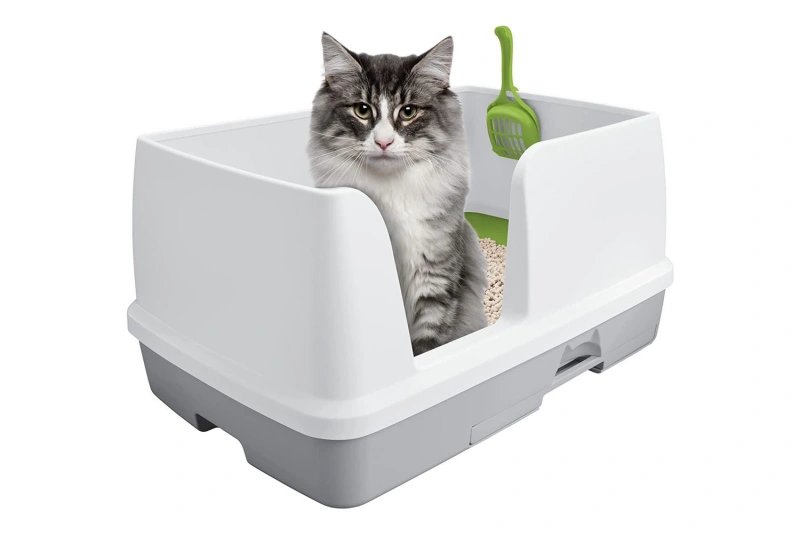 Choose Suitable Litter Box