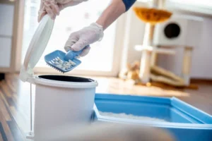 How to Clean Cat Litter Box？
