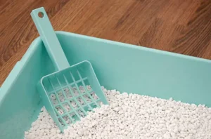 How to Keep Cat Litter Area Clean？