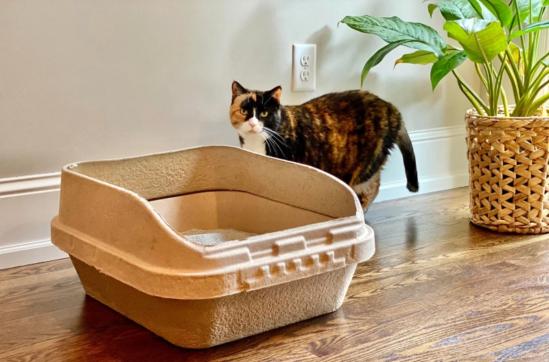 Sustainable Litter Boxes