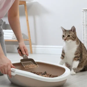 can you put baking soda in cat litter