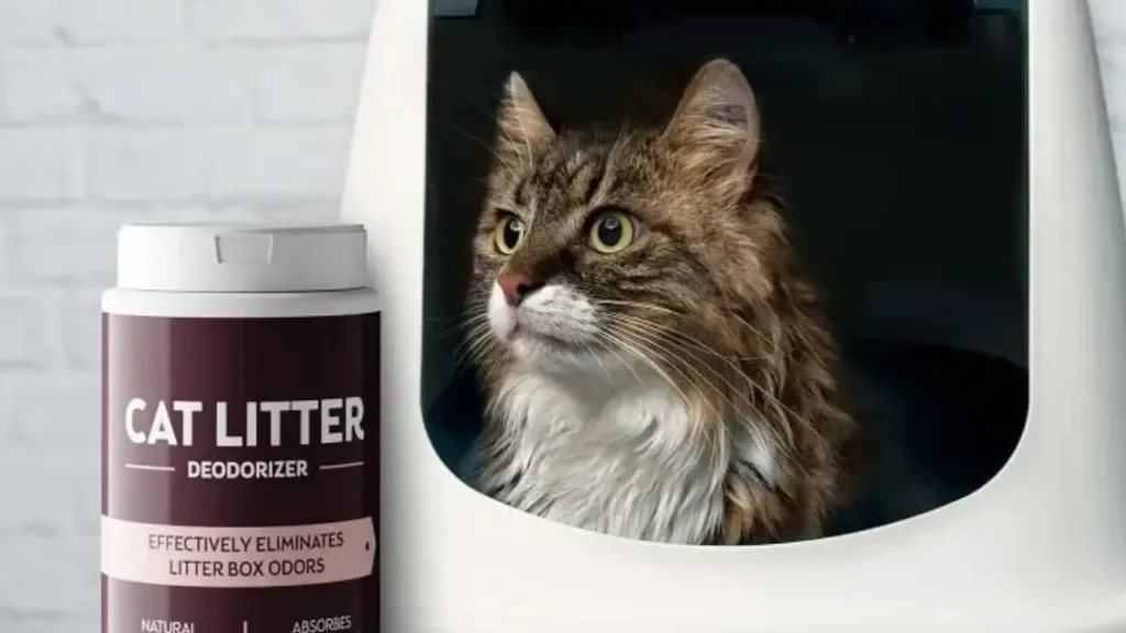 cat litter deodorizer ingredients