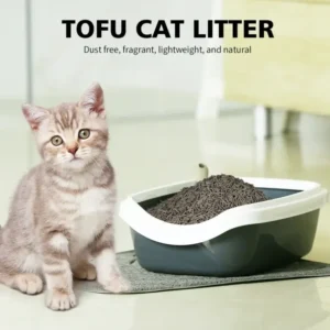 cat litter safety