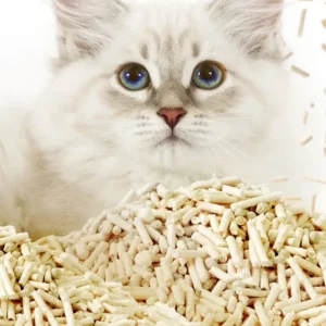 cat litter test