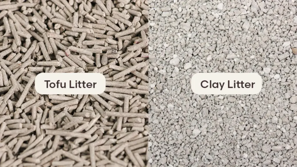 clay cat litter