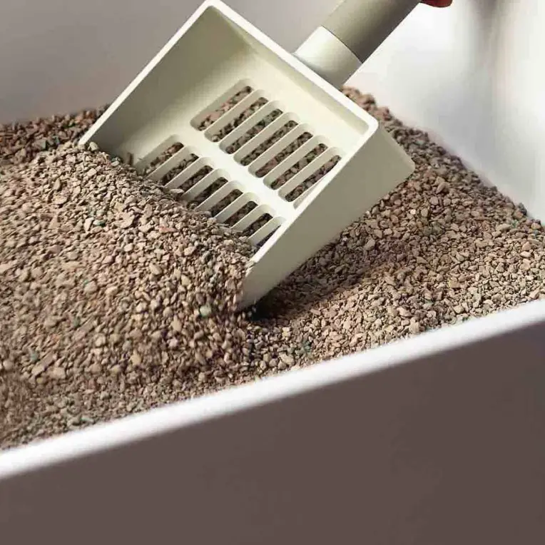 clay litter for cats