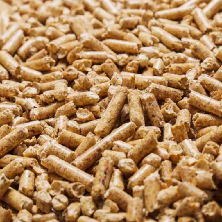 equine pellets cat litter