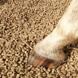 horse pellets for cat litter