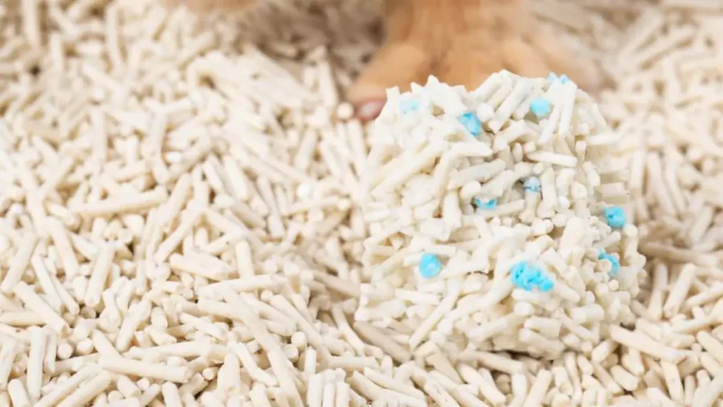 how to test cat litter