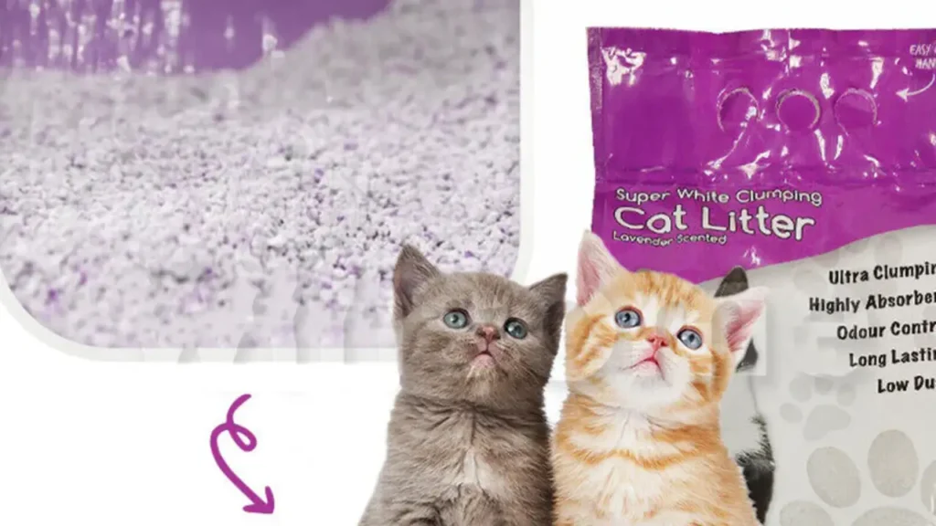 is lavender litter safe for cats