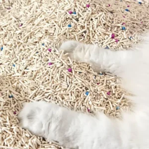 mixed tofu cat litter