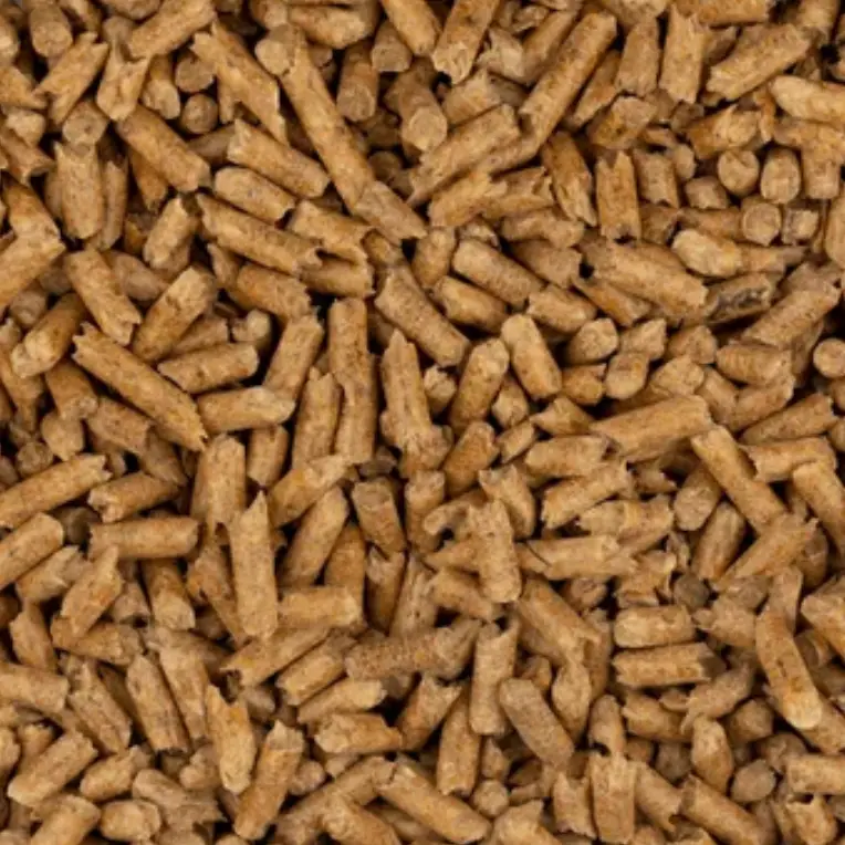 pine pellets for cat litter