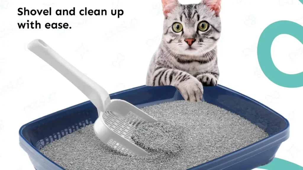 what is mineral cat litter