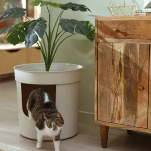 cat litter planter