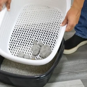 cat litter sifting