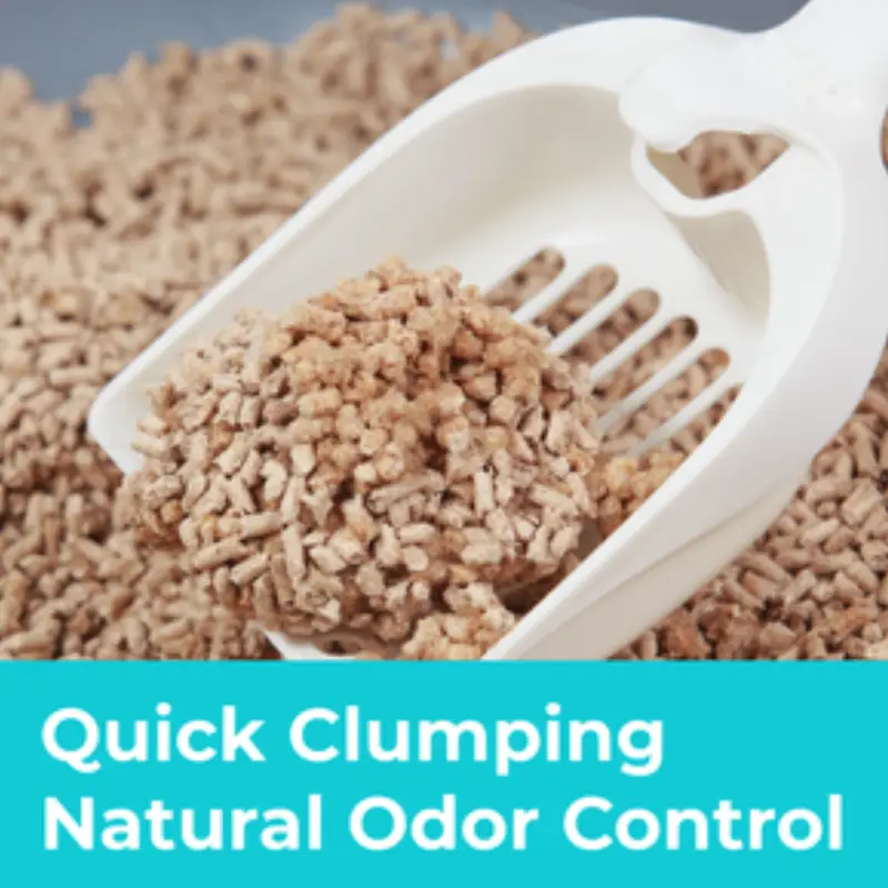 clumping wood cat litter