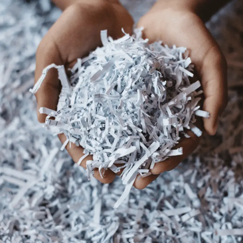 shredded paper cat litter