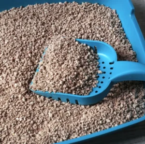 best cat litter sand