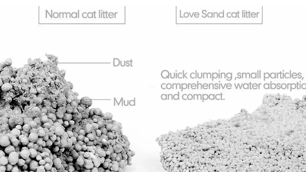 cat litter vs sand