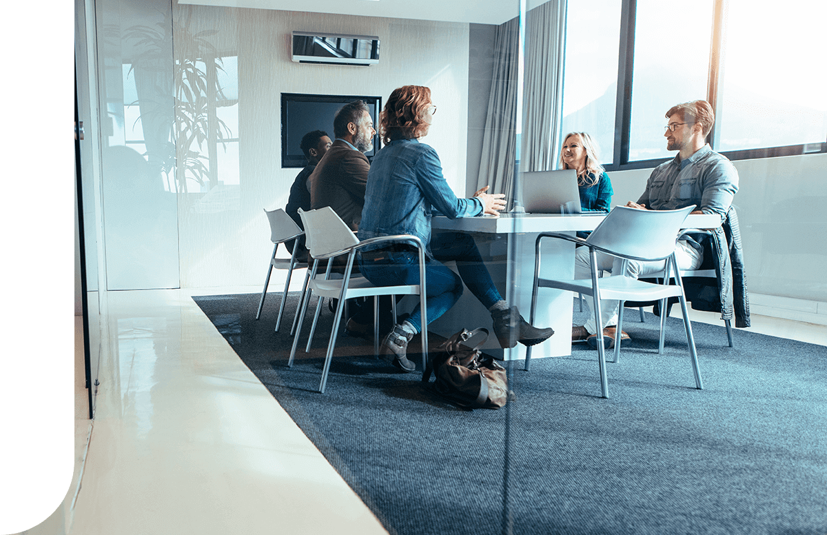 Veterinary team and advanced cat litter factory