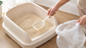 Cleaning the litter box