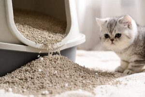 Clumping Cat Litter Wholesale