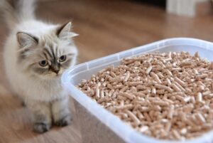 Biodegradable cat litter