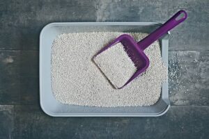 Side-by-side comparison of a dense cassava cat litter clump and a lighter tofu cat litter clump